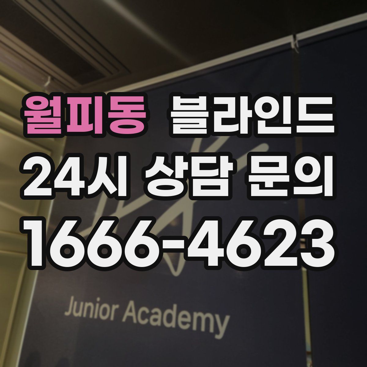 월피동 블라인드