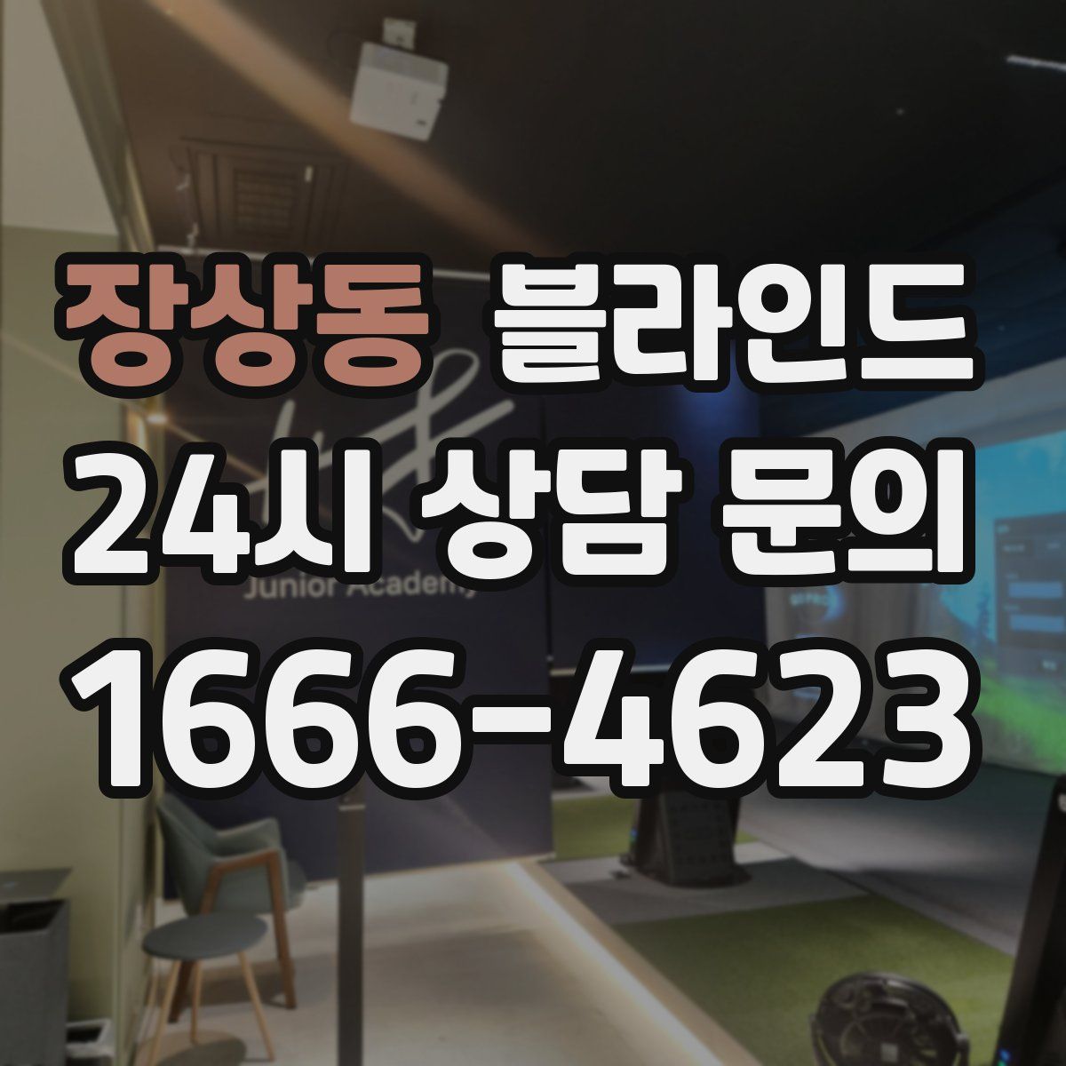 장상동 블라인드