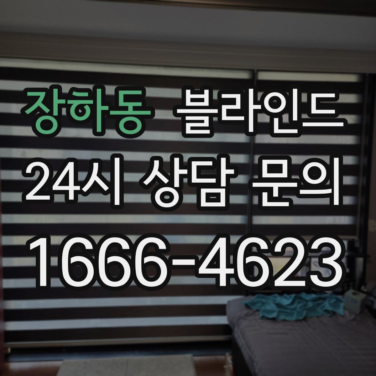장하동 블라인드