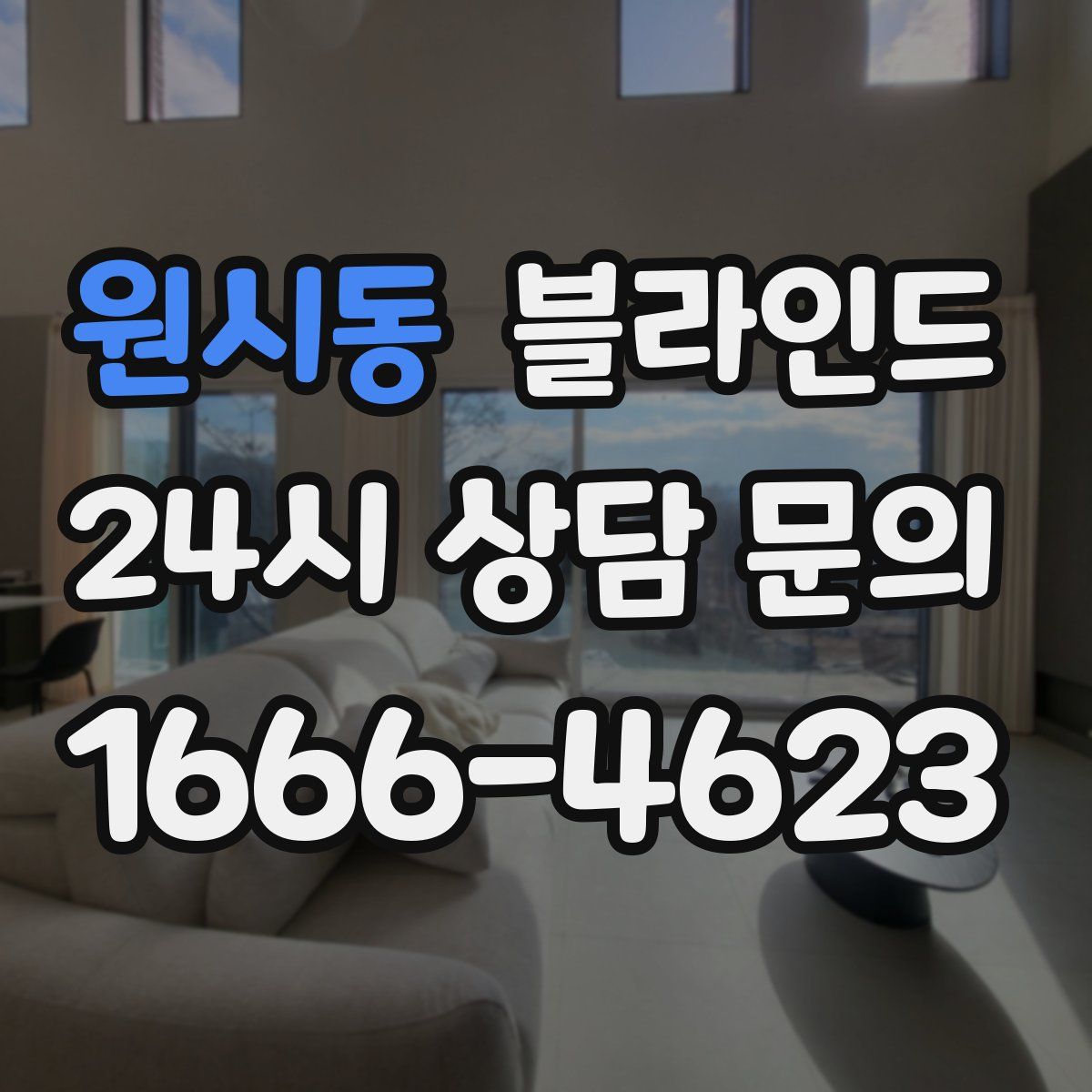 원시동 블라인드