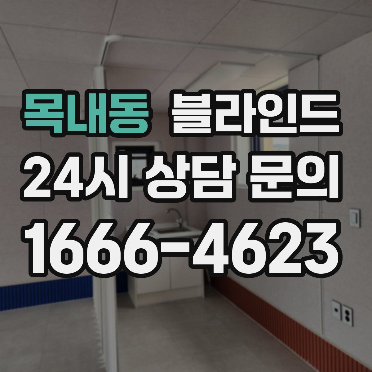 목내동 블라인드