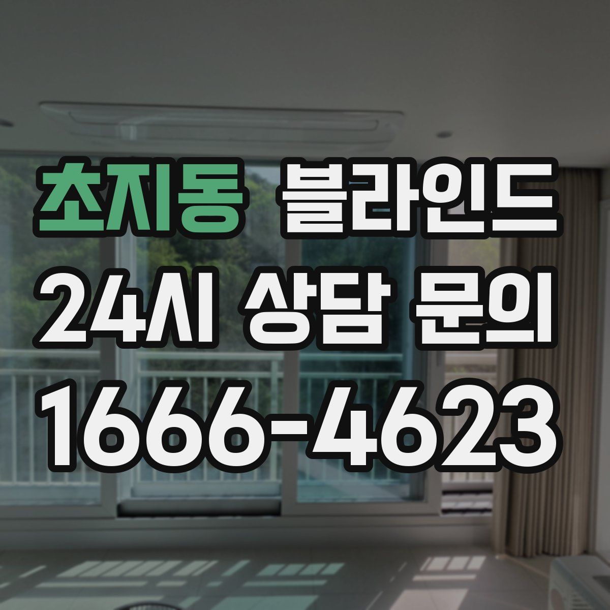 초지동 블라인드