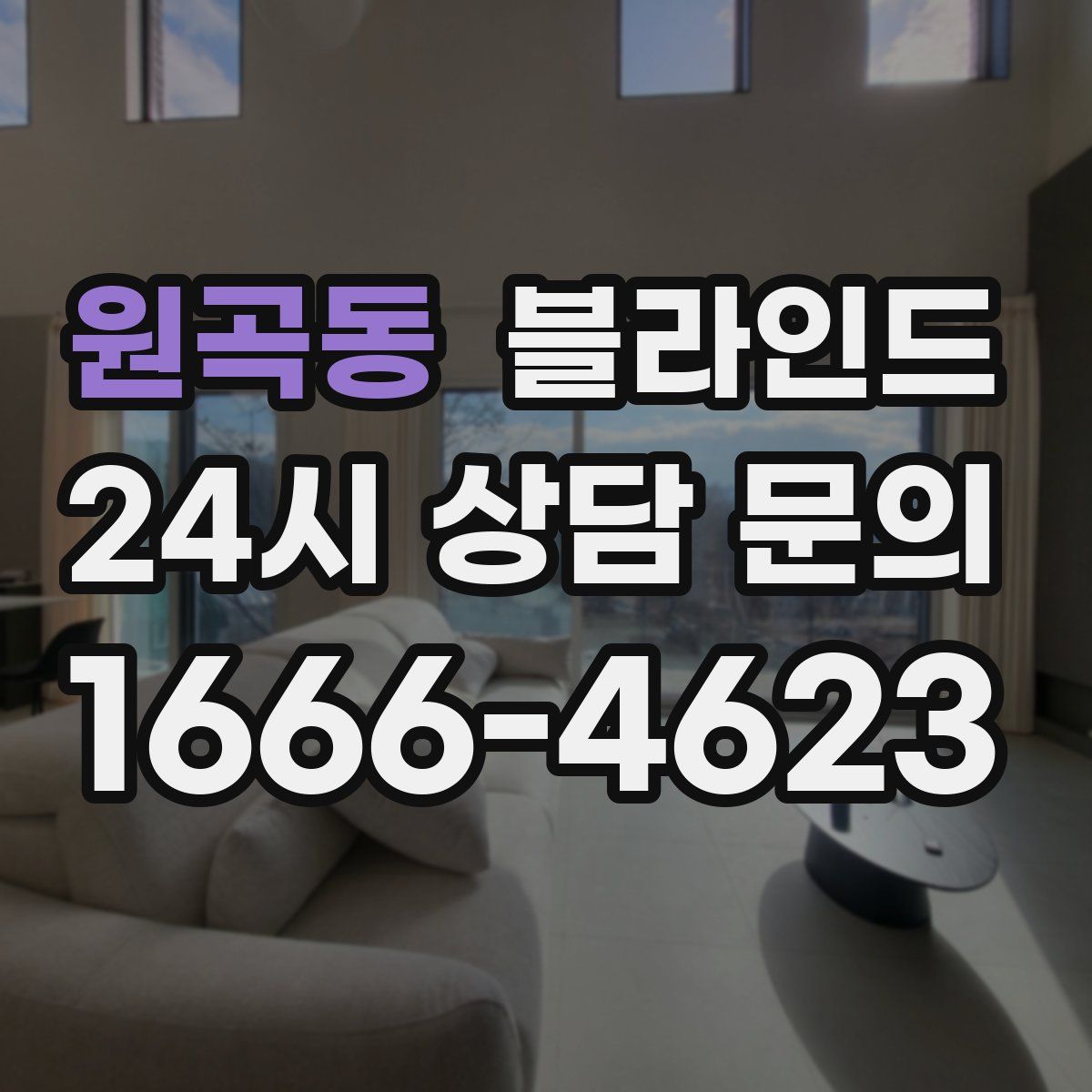 원곡동 블라인드