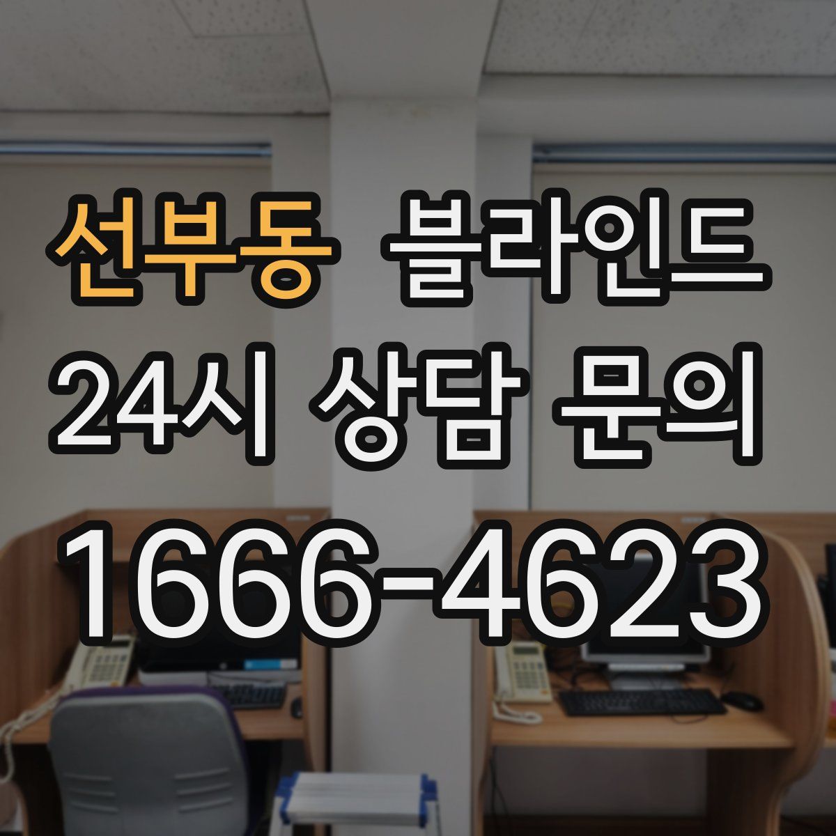 선부동 블라인드