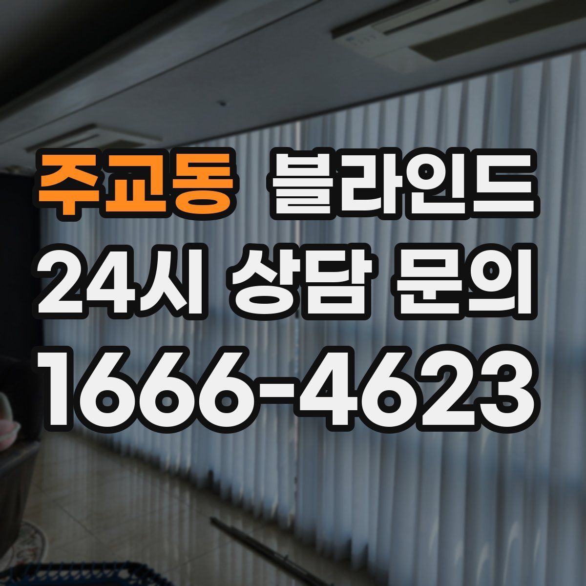 주교동 블라인드