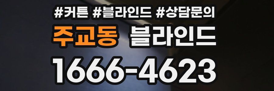 주교동 블라인드