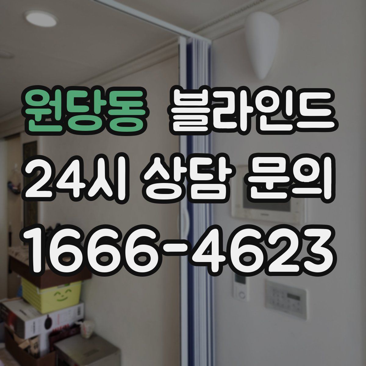 원당동 블라인드