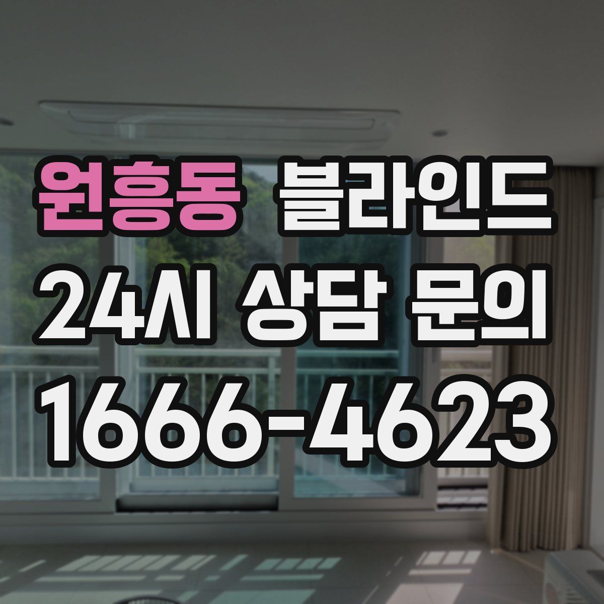 원흥동 블라인드