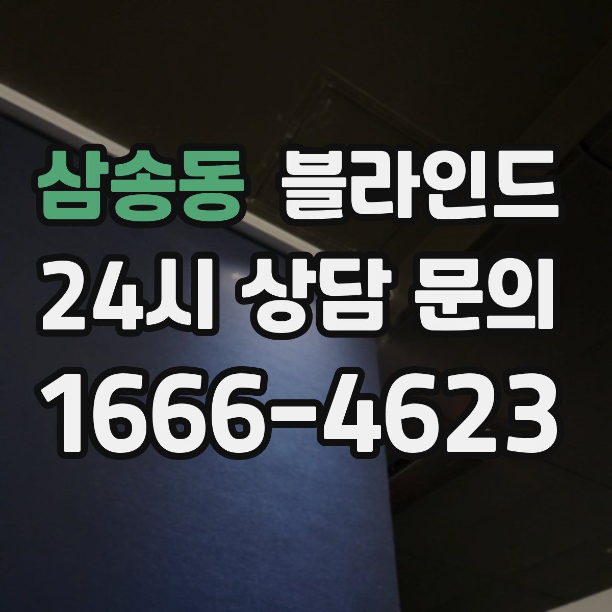 삼송동 블라인드