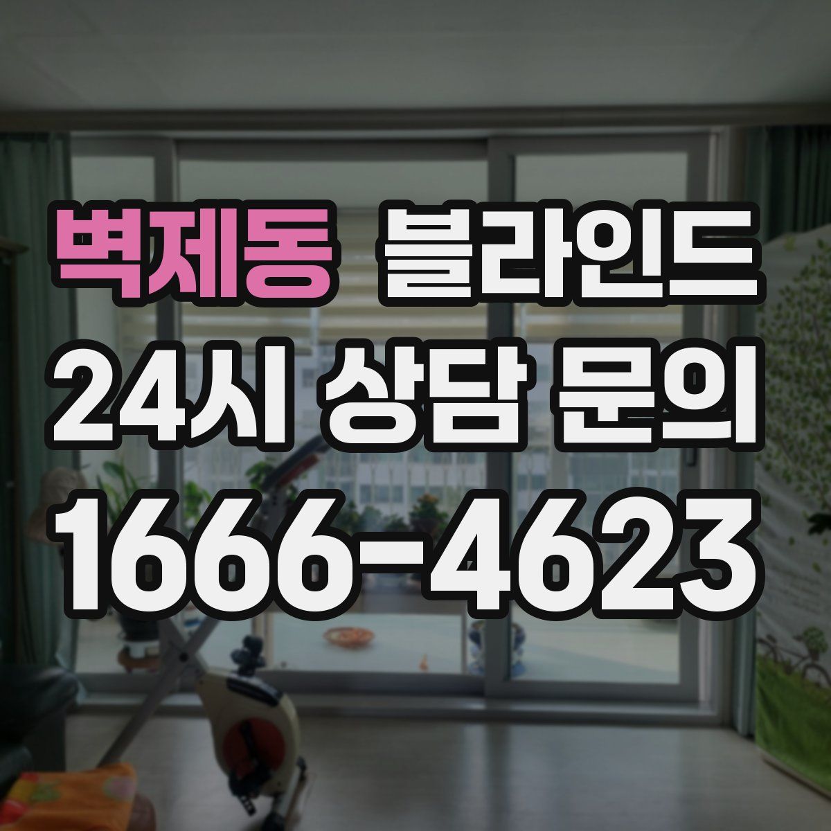 벽제동 블라인드