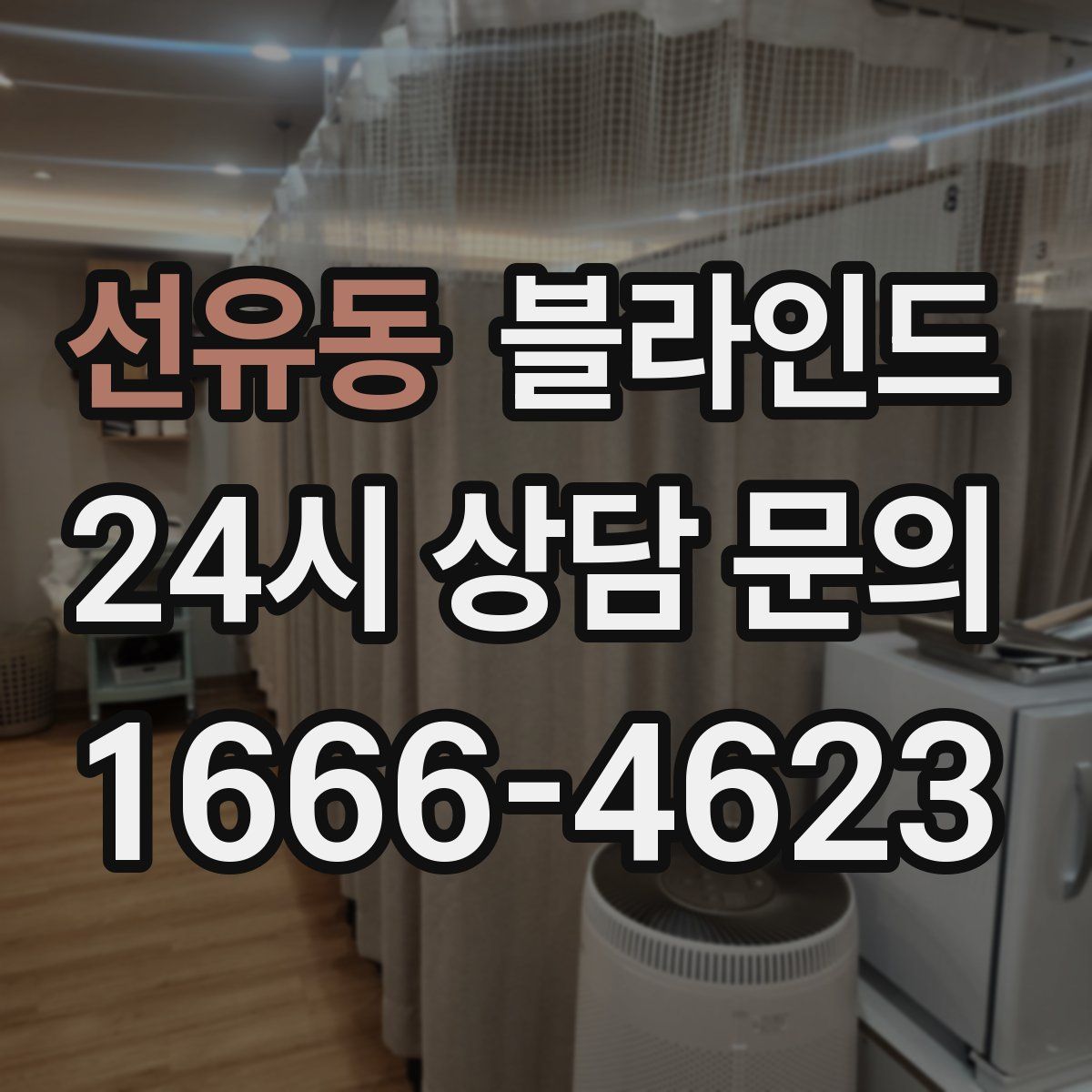 선유동 블라인드