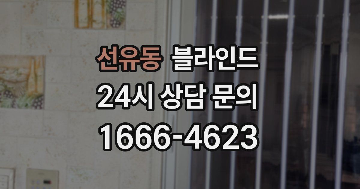 선유동 블라인드