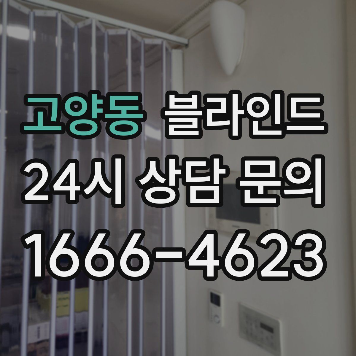 고양동 블라인드