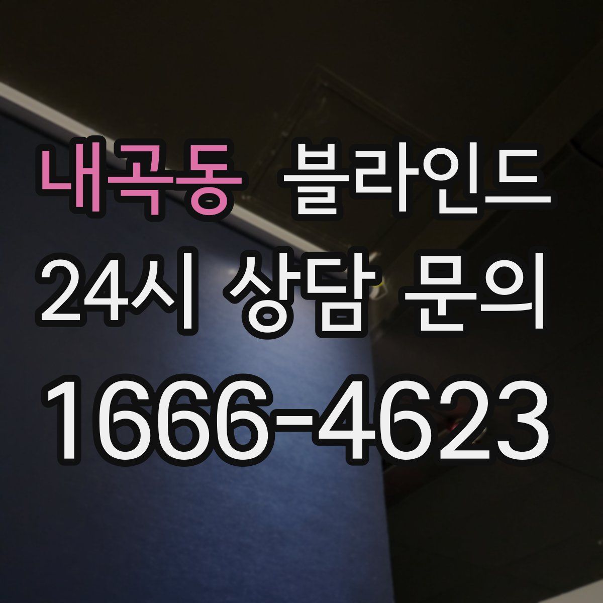내곡동 블라인드