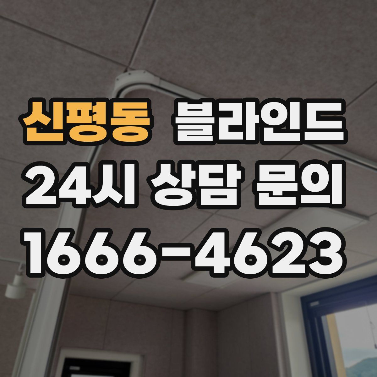 신평동 블라인드