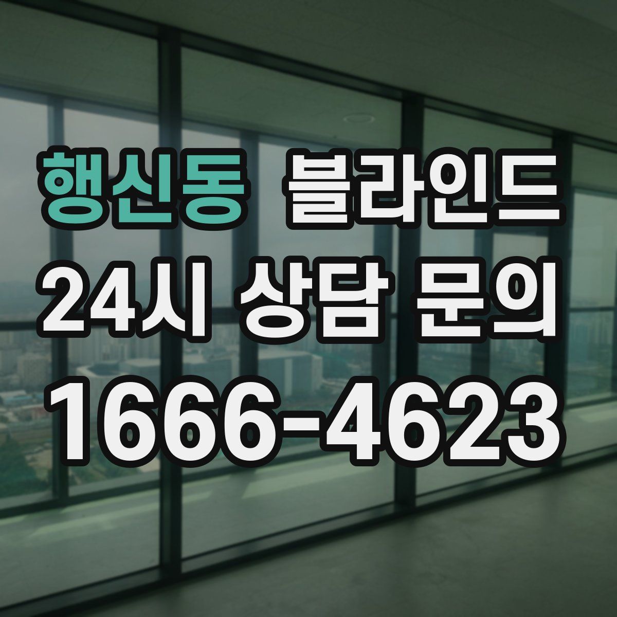 행신동 블라인드