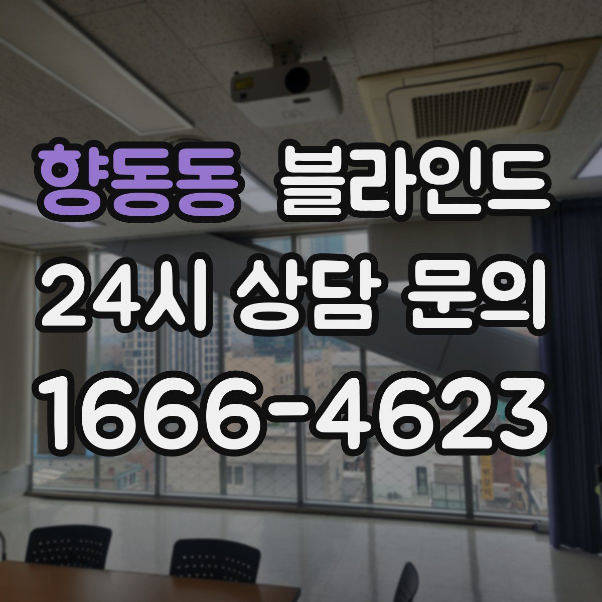 향동동 블라인드