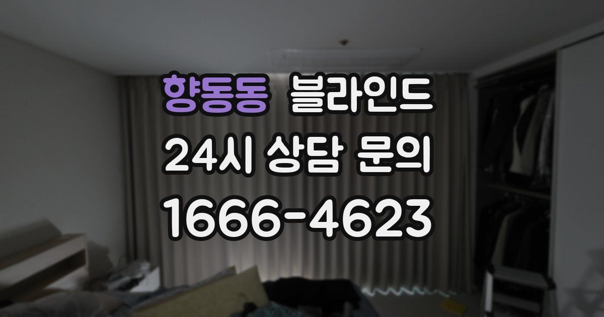 향동동 블라인드