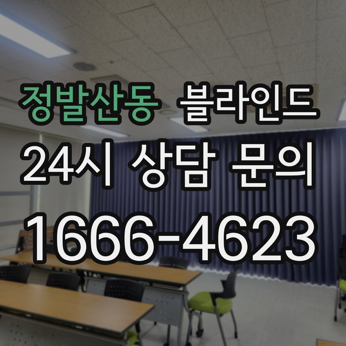 정발산동 블라인드