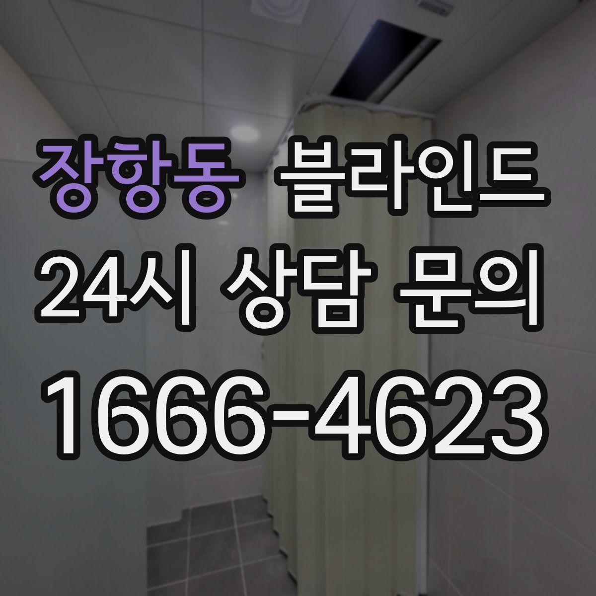 장항동 블라인드