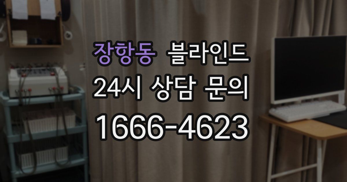장항동 블라인드