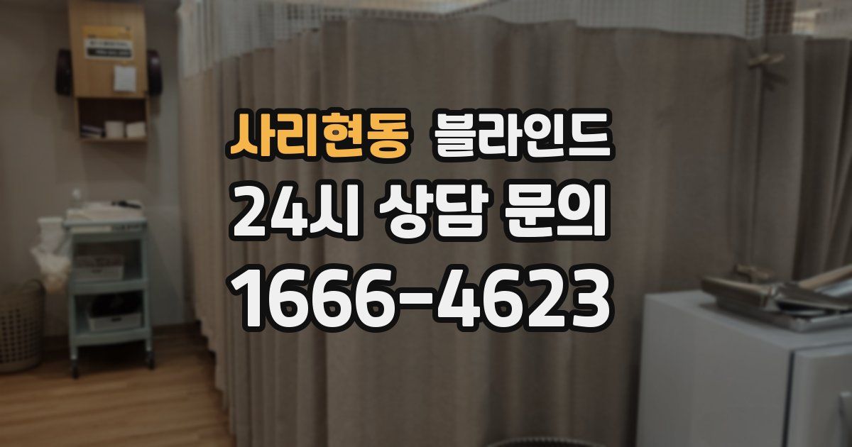 사리현동 블라인드