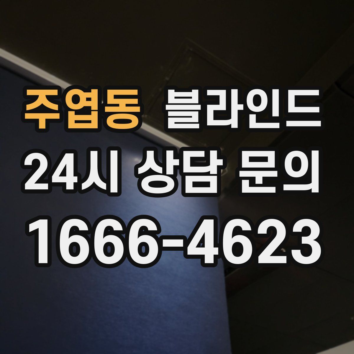 주엽동 블라인드