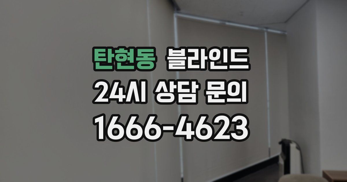 탄현동 블라인드