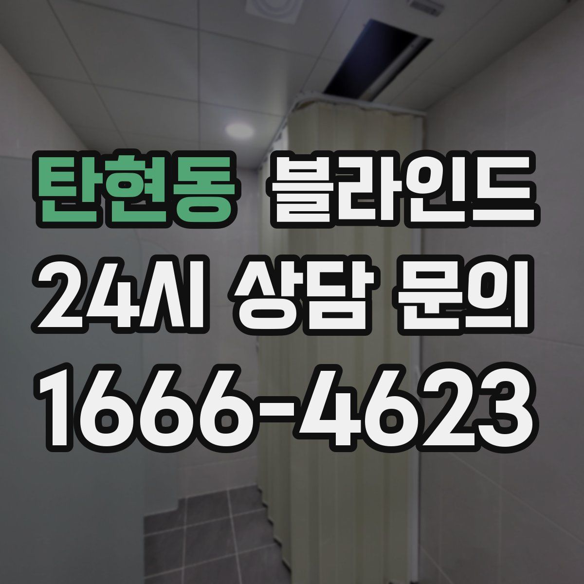 탄현동 블라인드