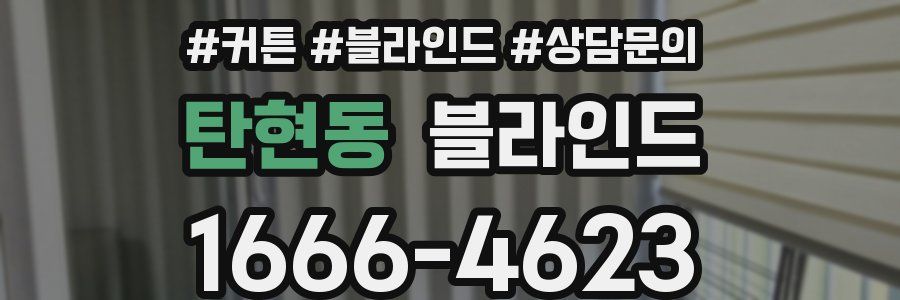 탄현동 블라인드