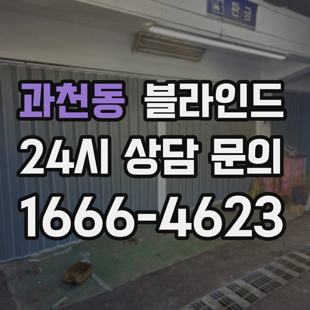과천동 블라인드