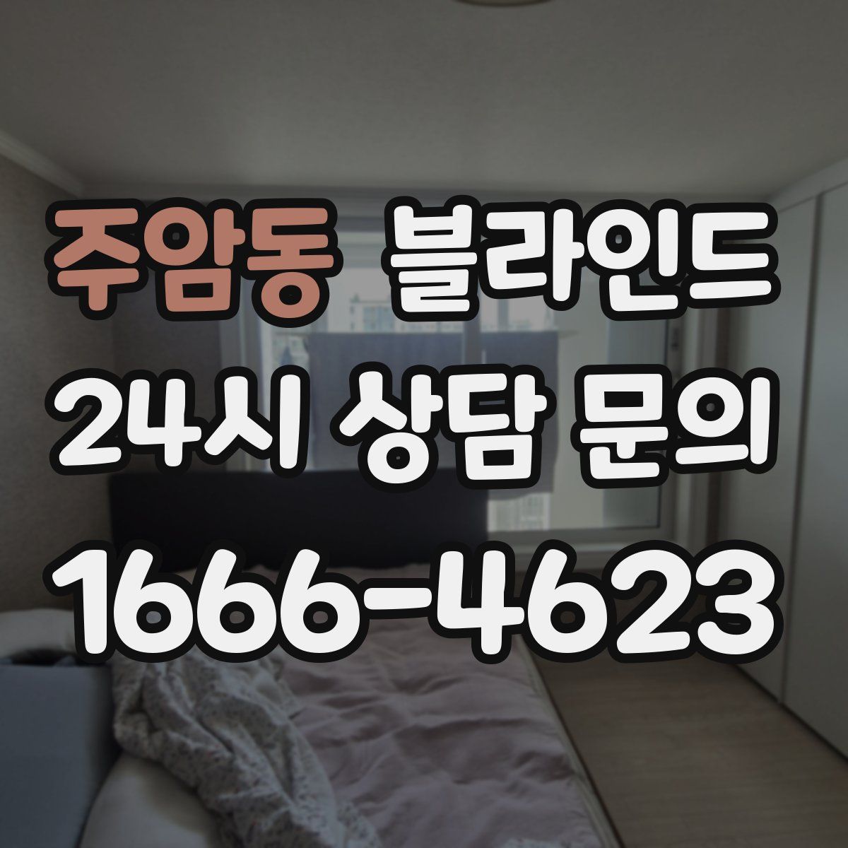 주암동 블라인드