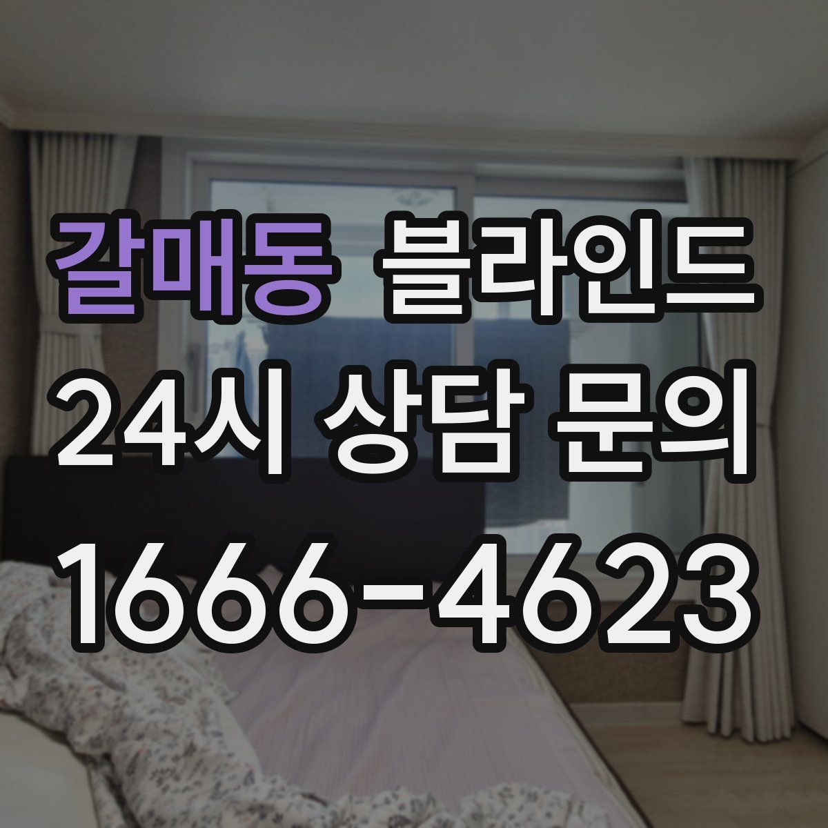 갈매동 블라인드