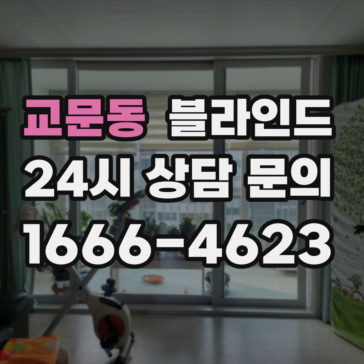 교문동 블라인드