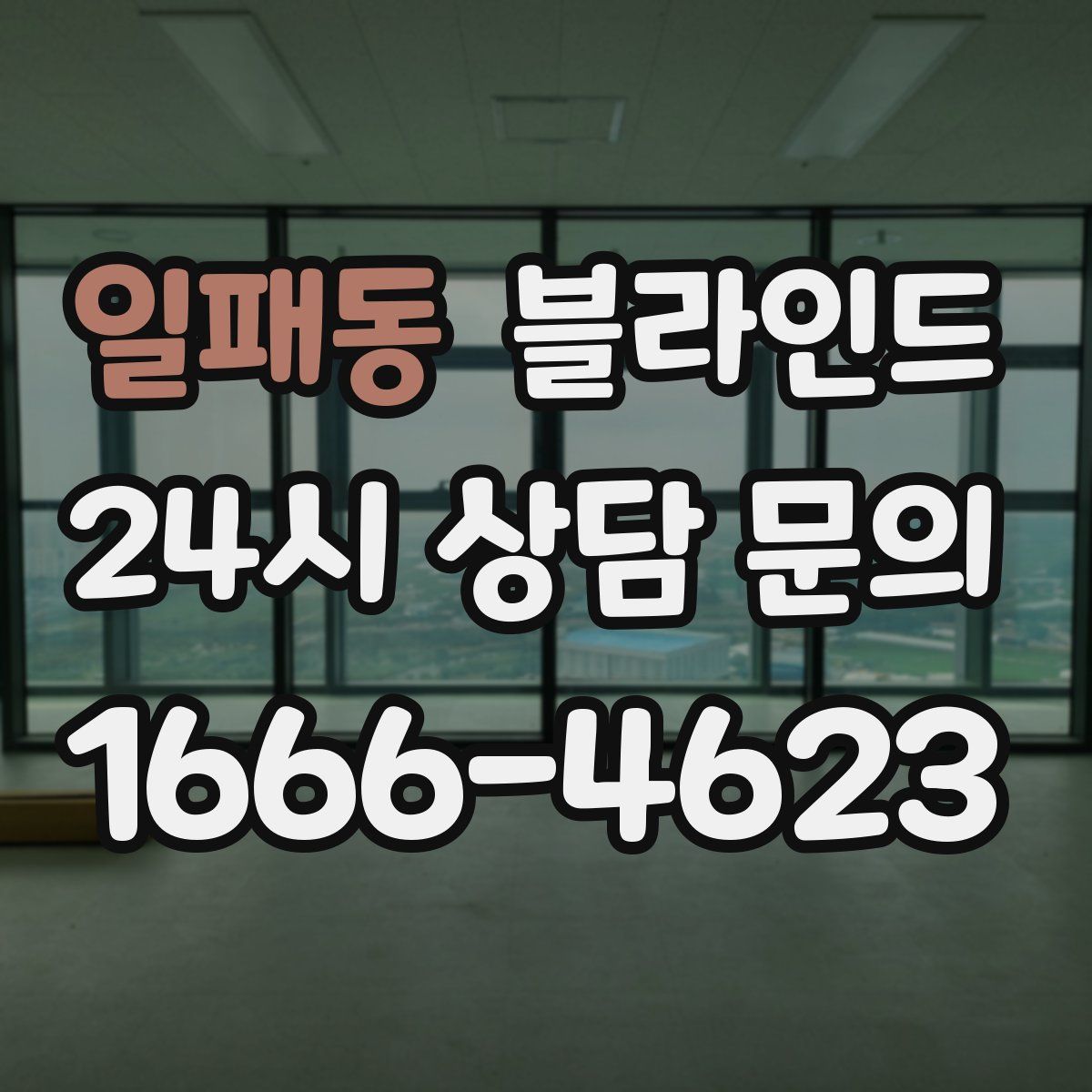 일패동 블라인드