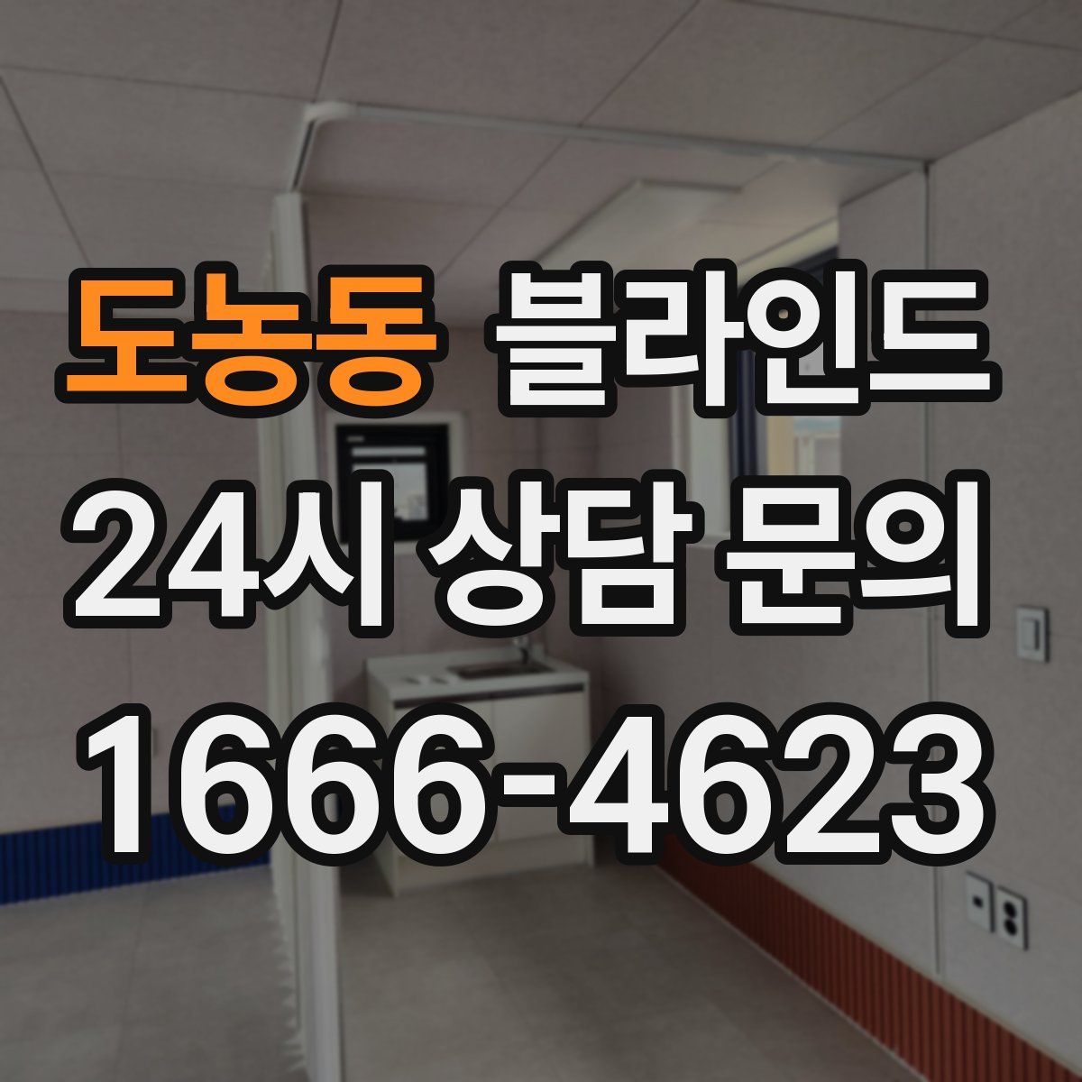 도농동 블라인드