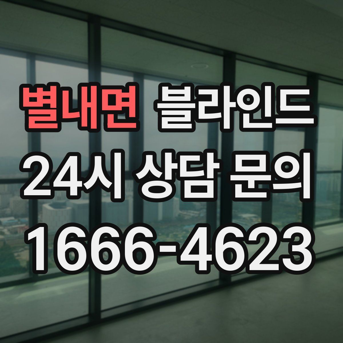 별내면 블라인드