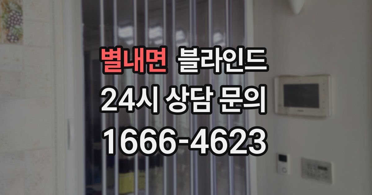 별내면 블라인드