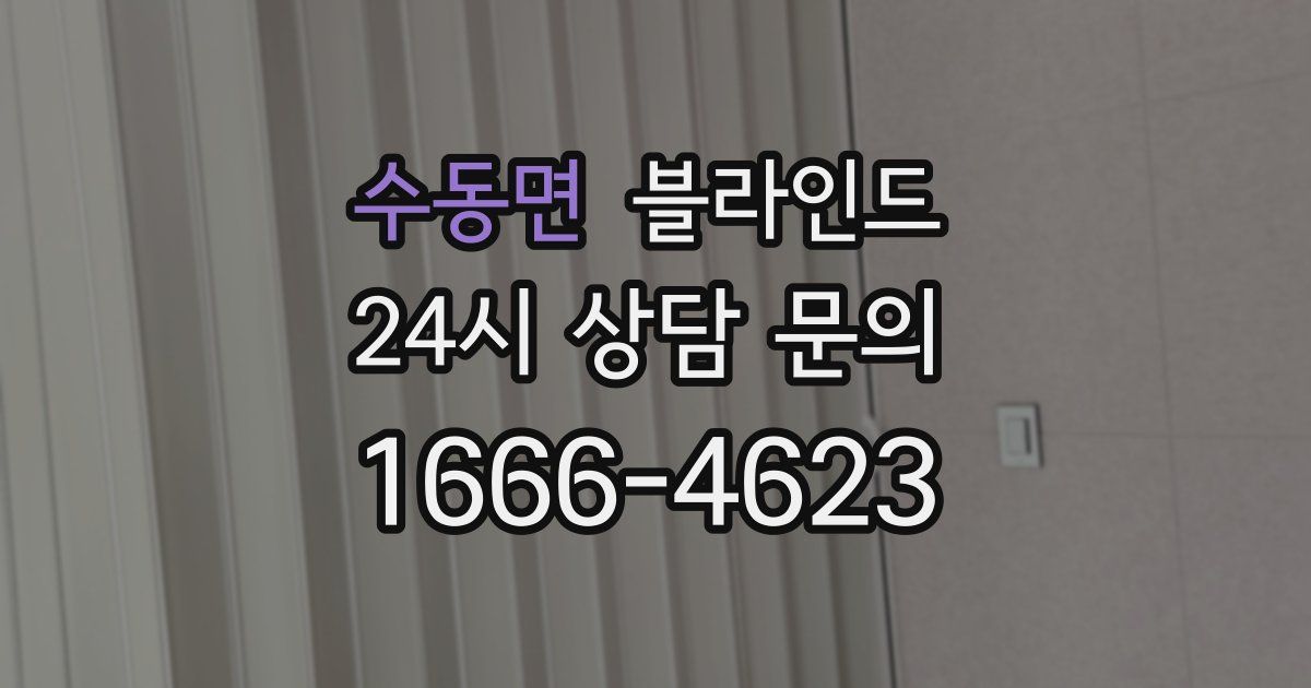 수동면 블라인드