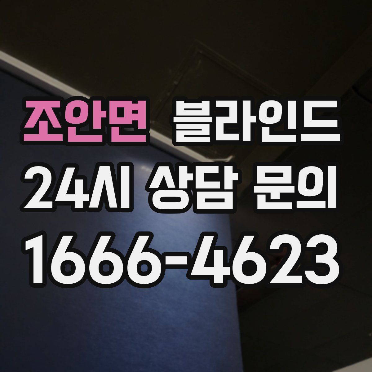 조안면 블라인드