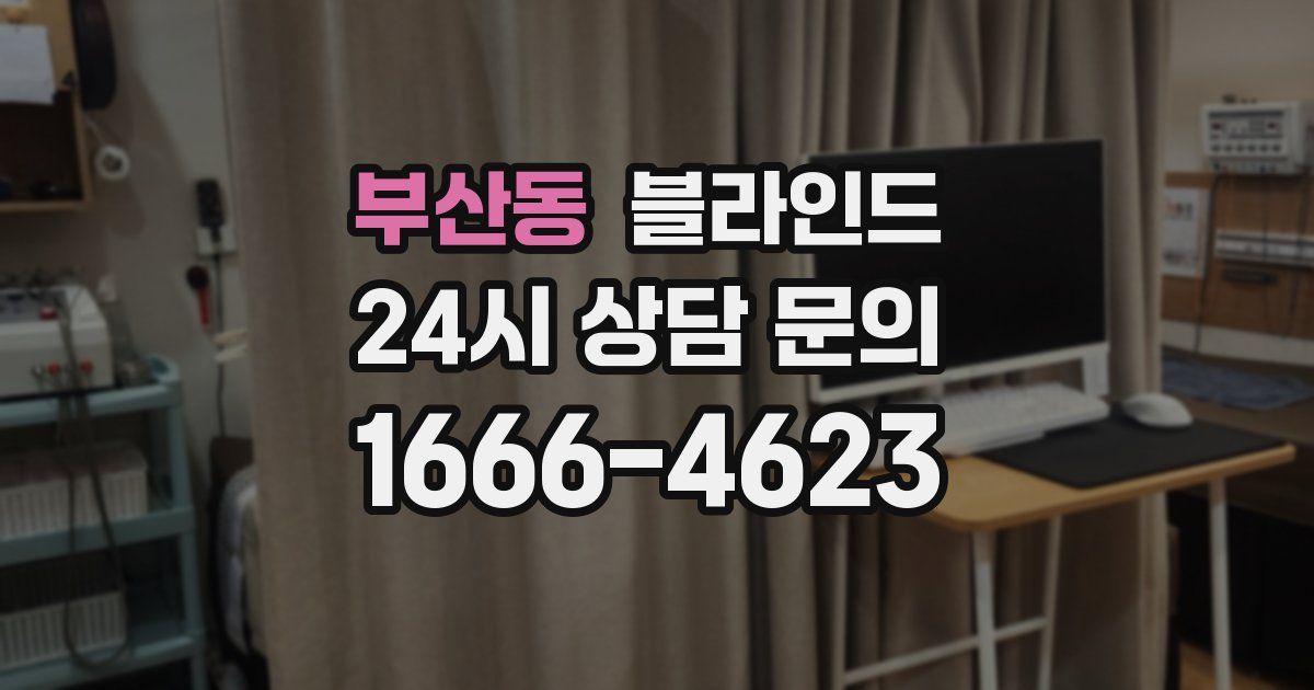 부산동 블라인드