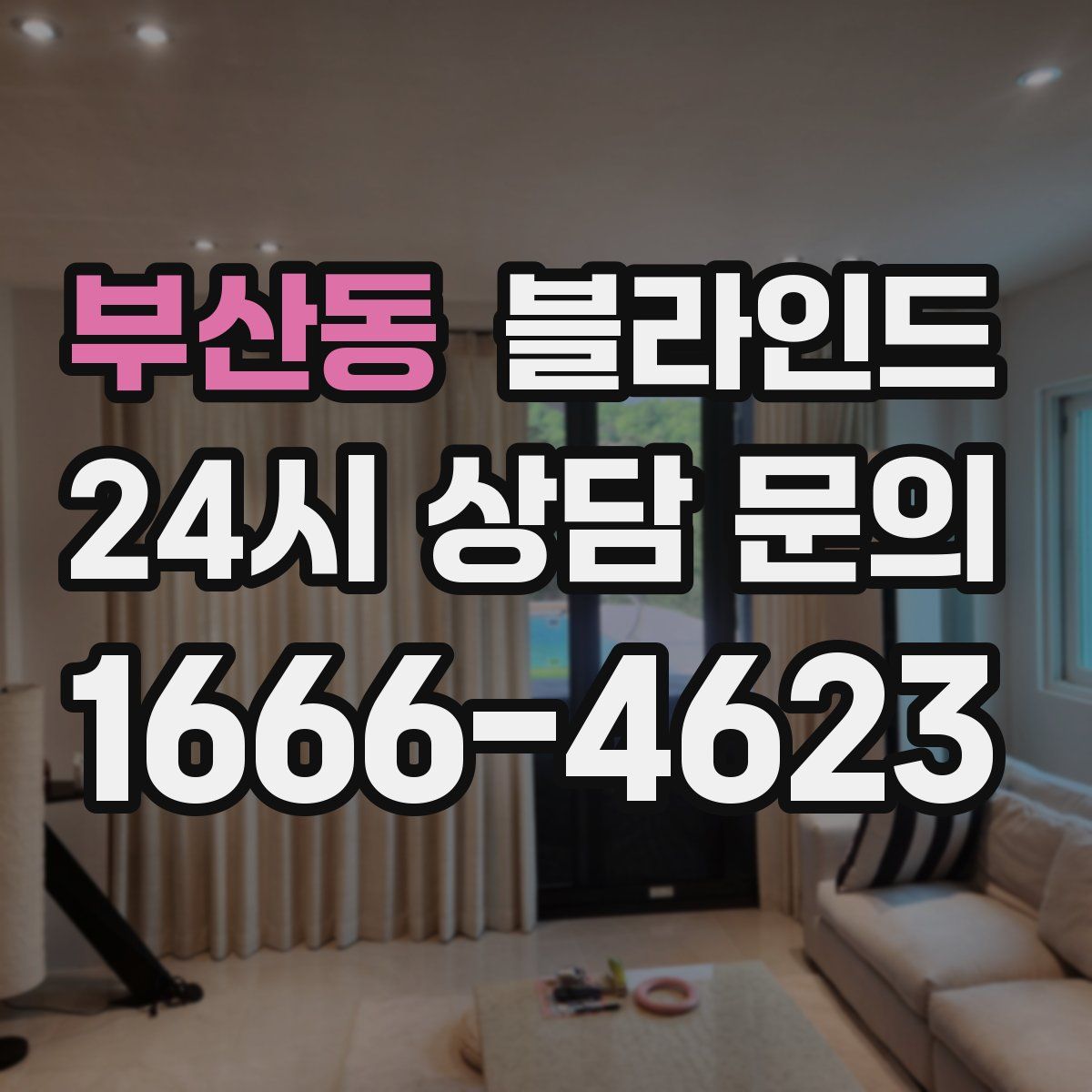 부산동 블라인드
