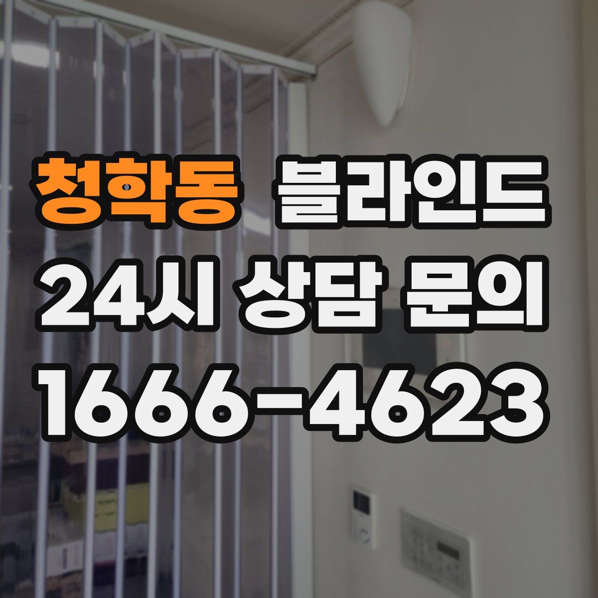 청학동 블라인드