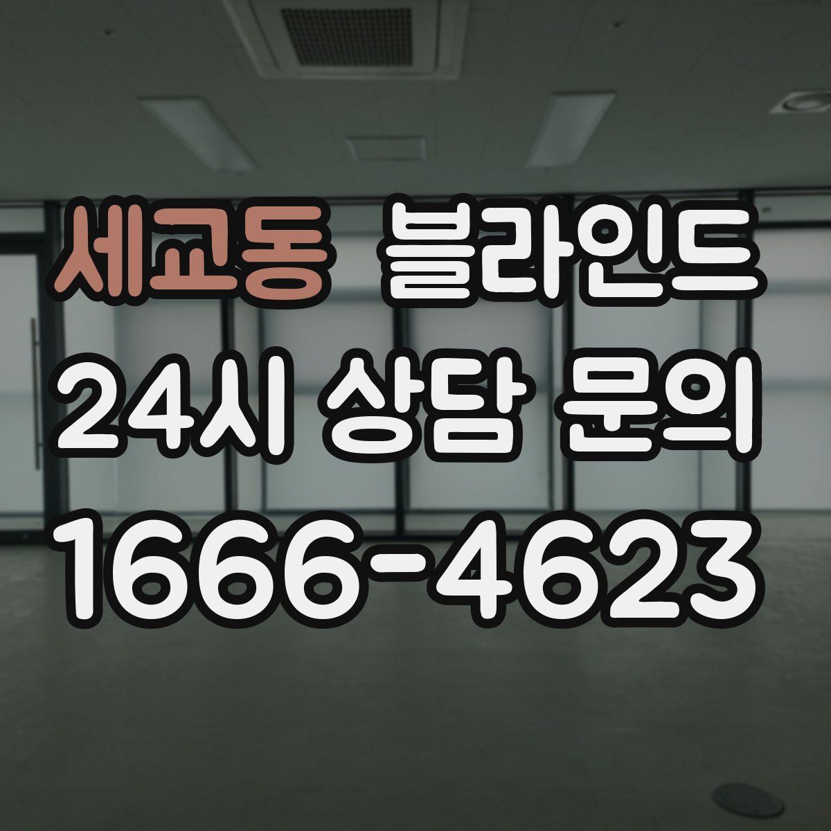 세교동 블라인드
