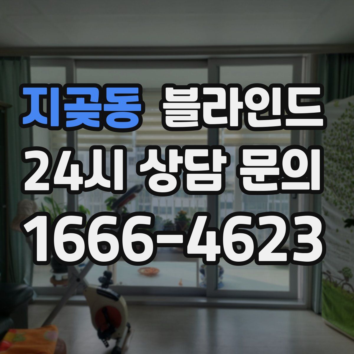지곶동 블라인드