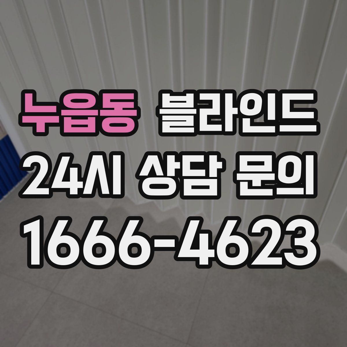 누읍동 블라인드