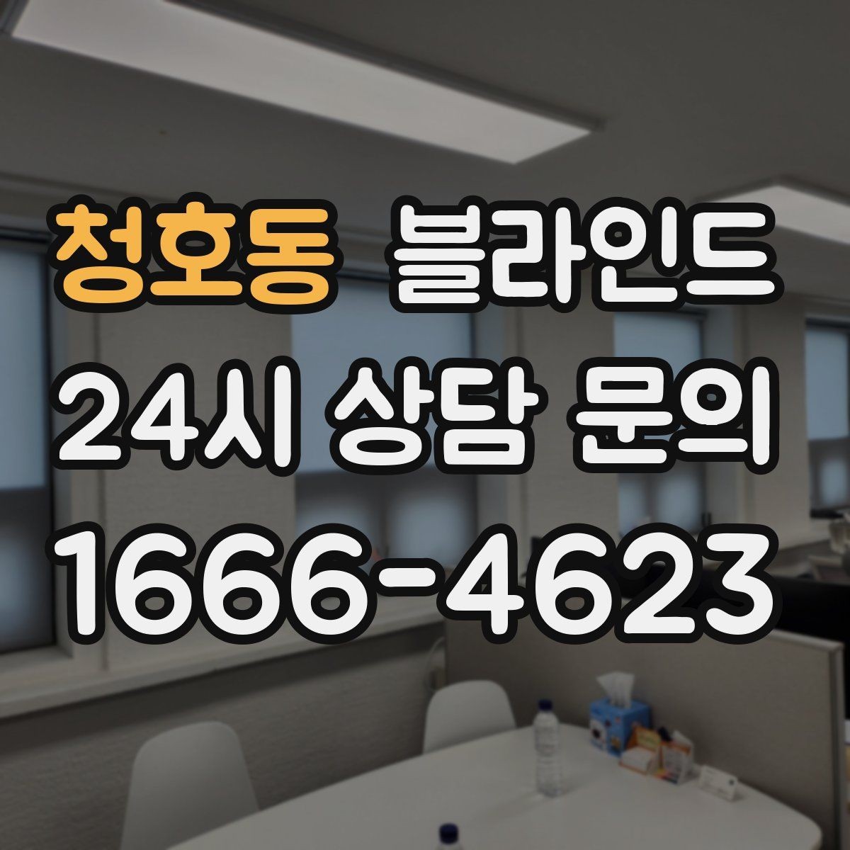 청호동 블라인드 디자인을 고를 때 보는 요소