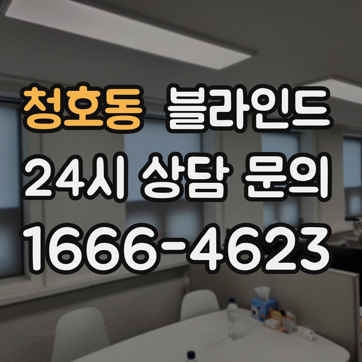 청호동 블라인드
