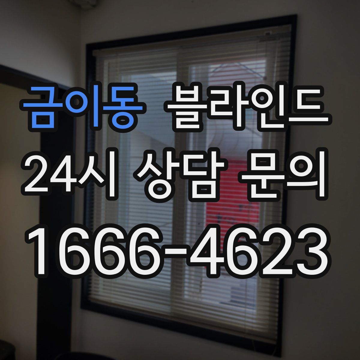 금이동 블라인드