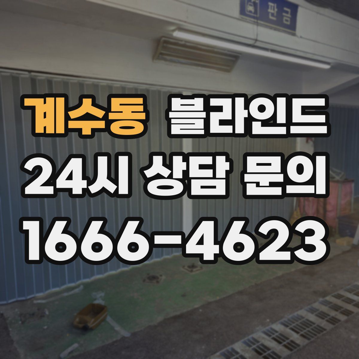 계수동 블라인드